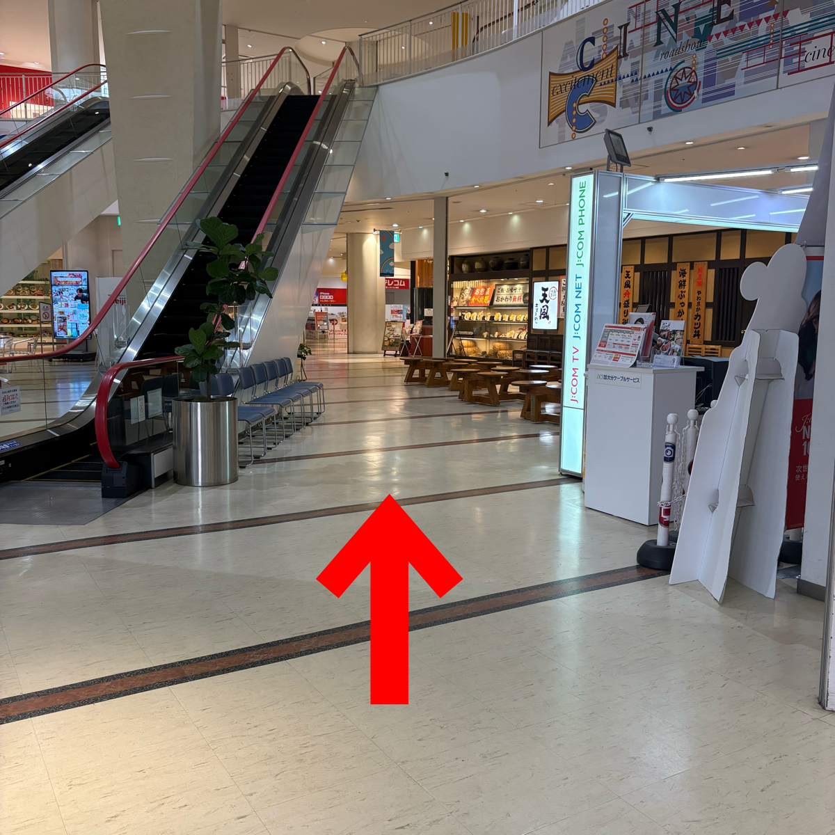 入口すぐのエスカレーターを左方向へお進みください